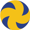 Logo de VESINET STADE ST-GERMANOIS VB 3